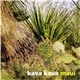 Kava Kava - Maui